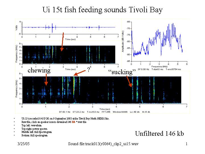 Unknown sound